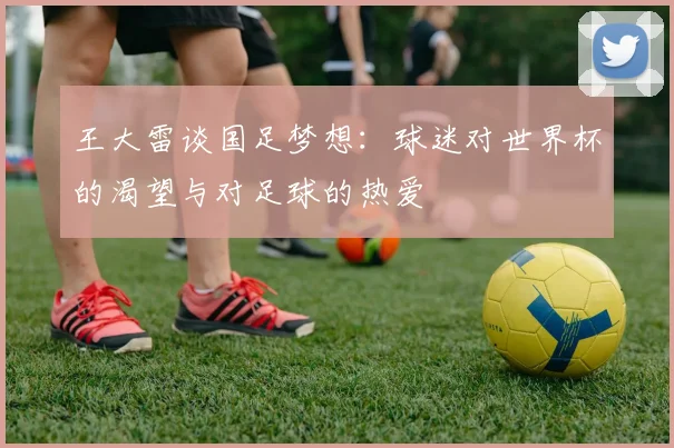 王大雷谈国足梦想：球迷对世界杯的渴望与对足球的热爱